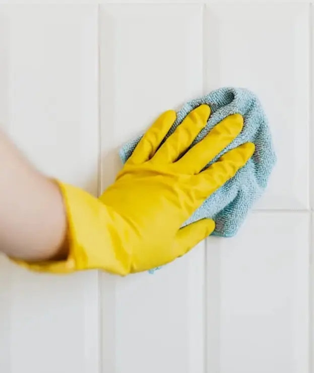 FreshNest cleaning with a glove